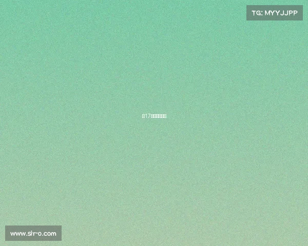 第17届中国新闻奖